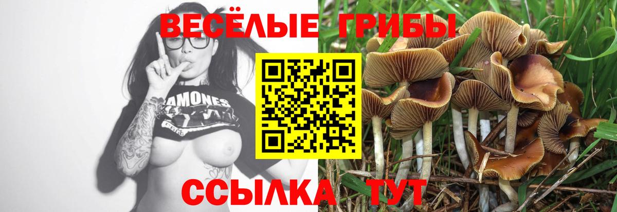 Канабис  Вход с VPN  Где купить  Калининград  МЕФ  Меф МЯУ МЯУ кристаллы  Марихуана 